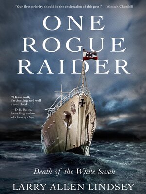 cover image of One Rogue Raider